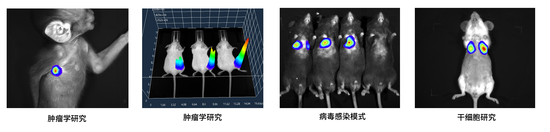 AniView100多模式動物活體成像系統(tǒng)應用案例 AniView100多模式動物活體成像系統(tǒng)應用案例